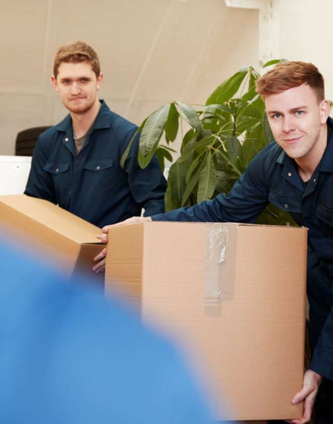 webdesign münchen Umzug